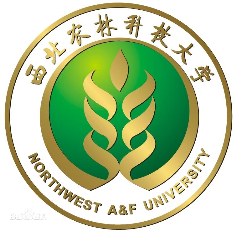 武漢大學
