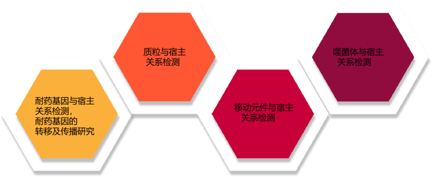 圖片 2.png